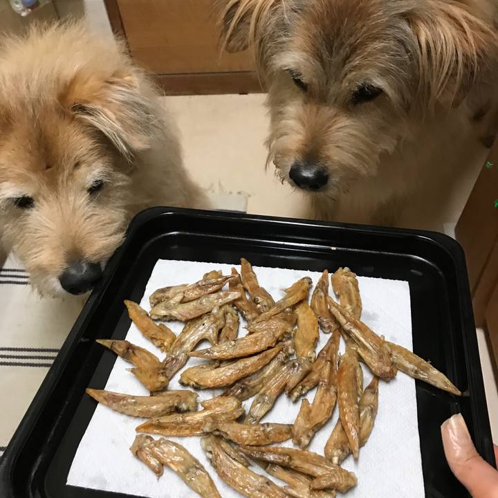 4c53484b d5d2 478e a50b 5caa415b9b3a 1554981639323