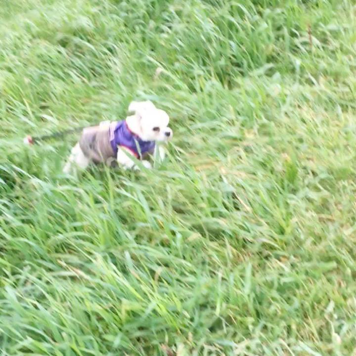 4c538664 b4bd 4baf b700 7f72c096151d 1549872040397