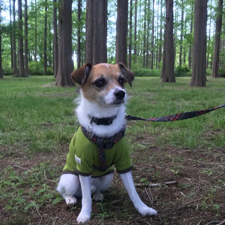 4c5388c4 f049 4781 8d05 814c3908598c 1525404784784