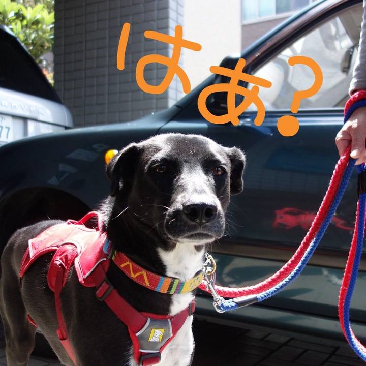 4c538a91 227c 4173 9253 e762bd998799 1587711575544