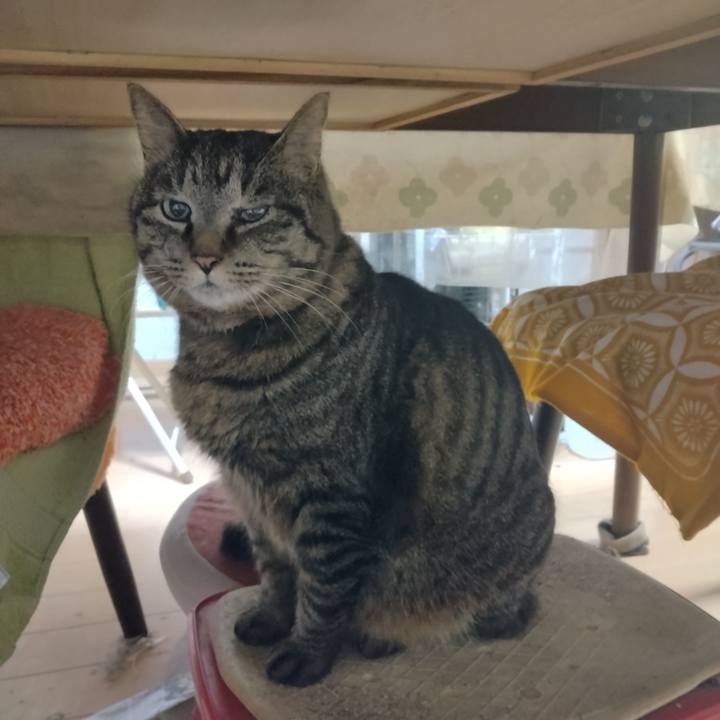 4c539129 4135 434c 8ac3 e1d645d6d52e 1711404605709