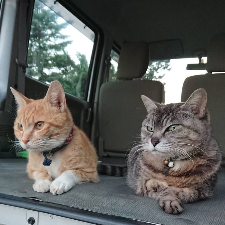 4c53ad44 9f8e 4b8d b603 b7694c8ff343 1559815106635