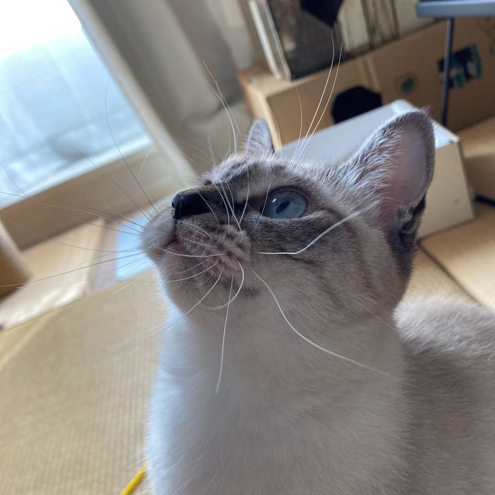 4c53dde4 9d07 4822 b659 4c939438079f 1599520392588