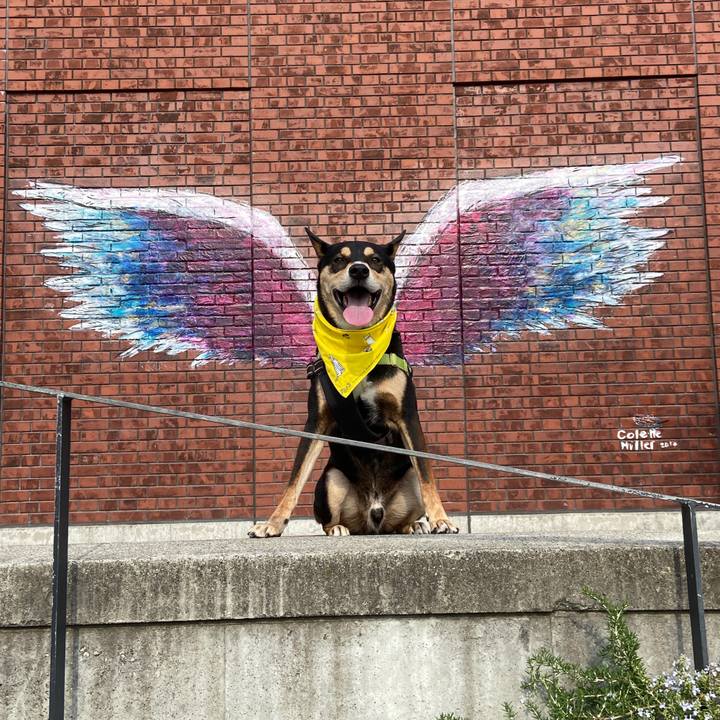 4c5405f1 f25f 476b bfdd fe7711895bff 1699290273175