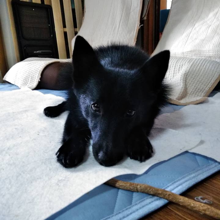 4c542352 24ff 418b a612 209d567de53c 1572132939750