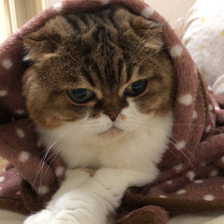 4c54552c 97c0 4d04 9baf ecbec4fb7d73 1538017498277