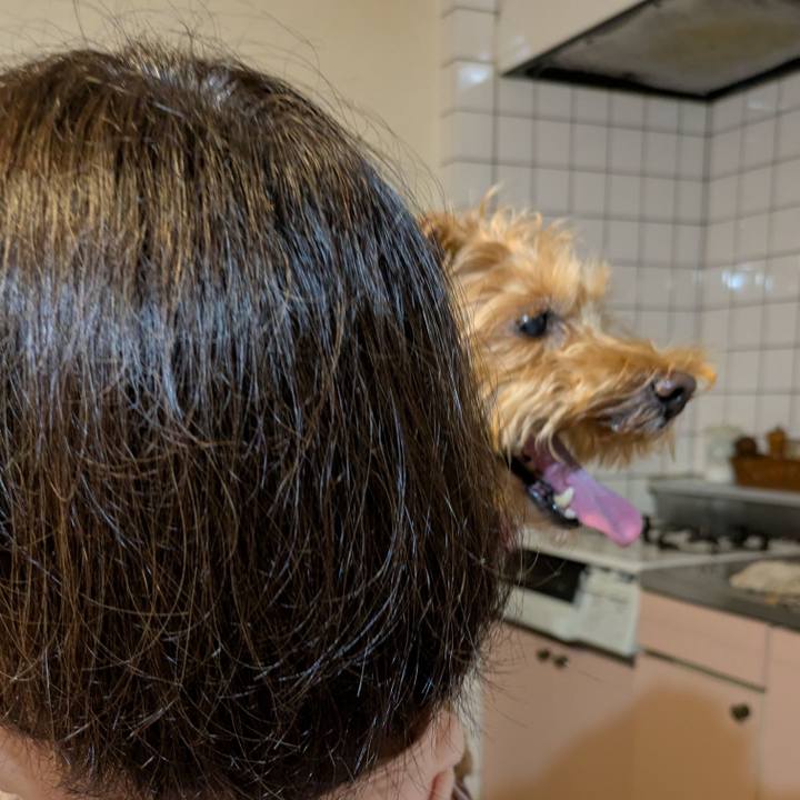 4c5466fb 177c 479e bb93 5b93d07a2e11 1753441255184