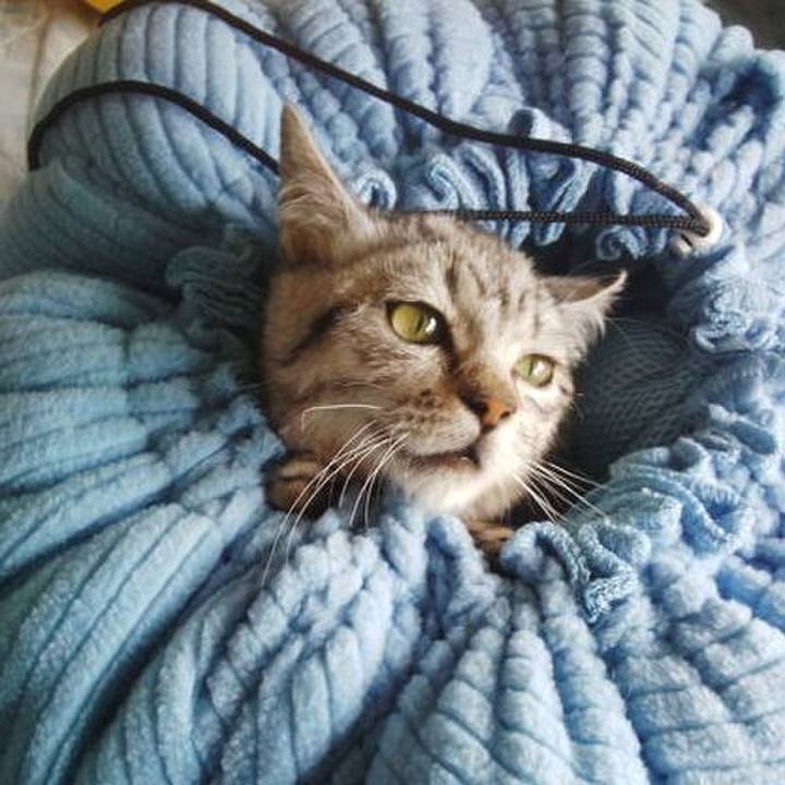 4c54a0ce a139 4b8b a228 28efaddbc0fe 1560172155849