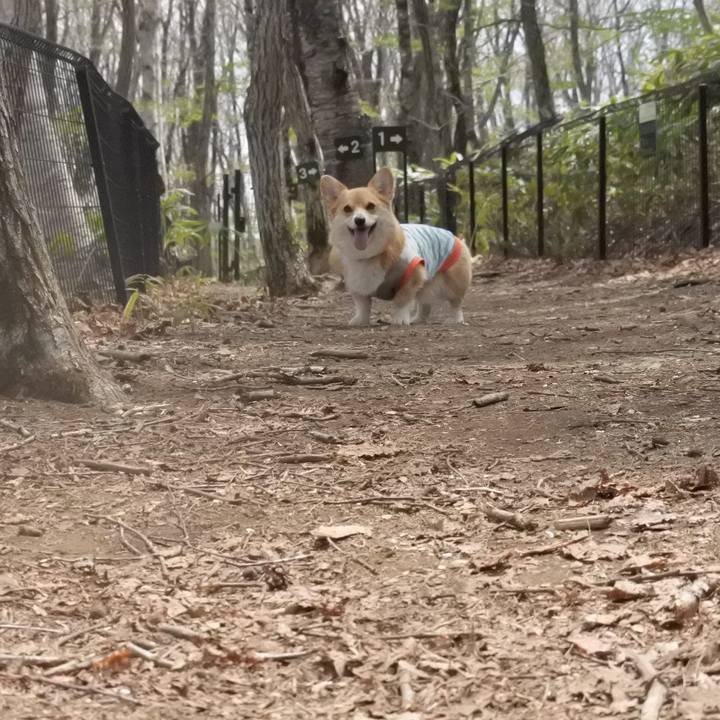 4c54a134 8dbb 4a9b b6d7 b28aac6b130d 1525484307412