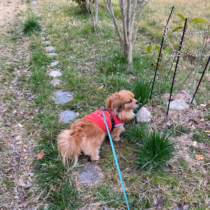 4c54b79e 064b 4b1e 9ca8 87b7e9ca257e 1615501286625