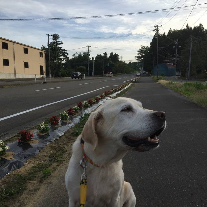 4c54c032 8610 4605 8295 370273fb716a 1616071902494