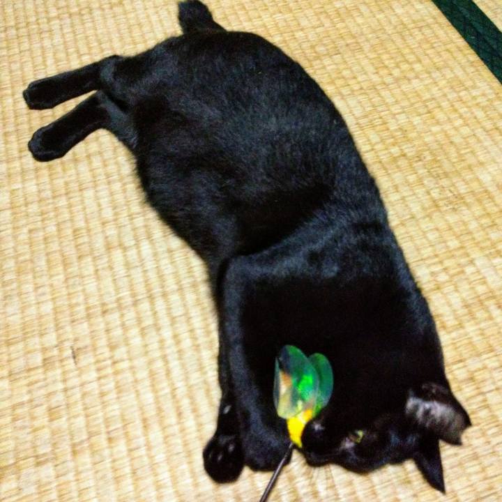 4c55343f 02ed 4fa7 a932 b43863a8fa55 1572047779509