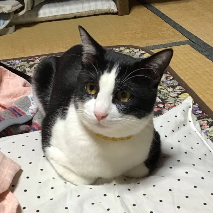 4c553c3c f576 4b01 ac47 6d5fc3a7e577 1647507379025