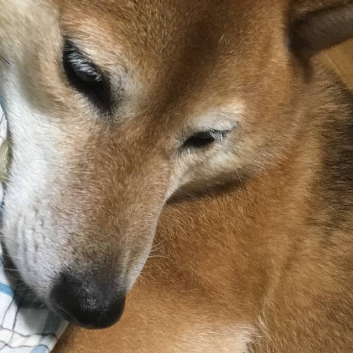 4c554944 d93a 4b4a 9d10 d78c28591353 1565787932632