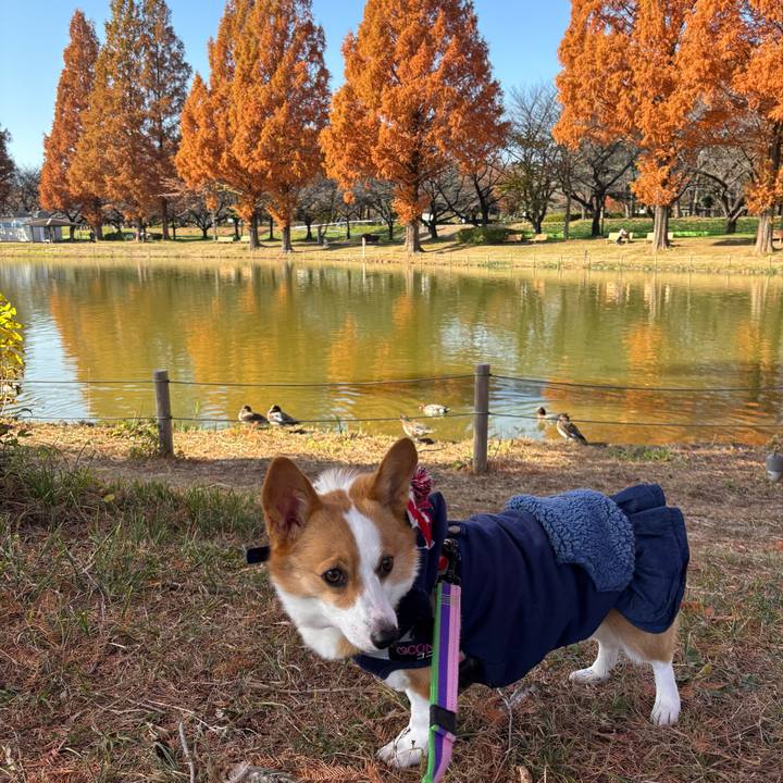 4c554f7e 8890 428c bb1b 12fafb3eb2c9 1764474563383