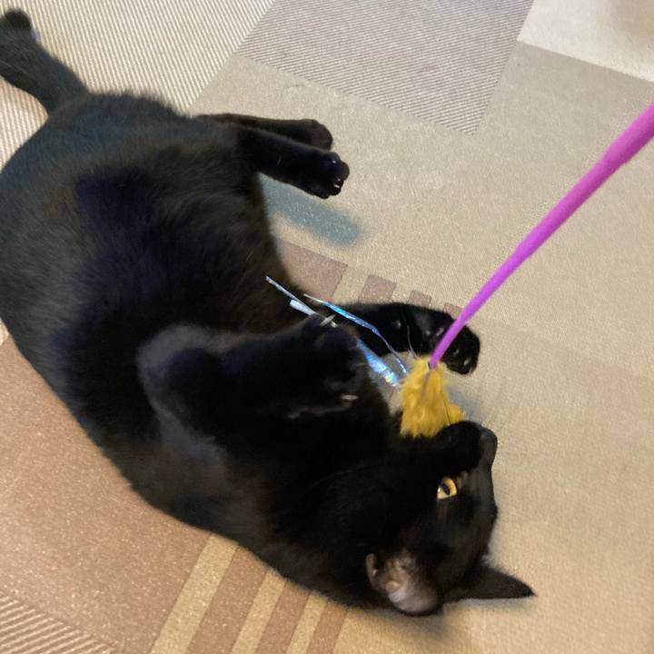 4c555d62 9ed9 42d6 afb4 96fef9fb86f1 1687647980697