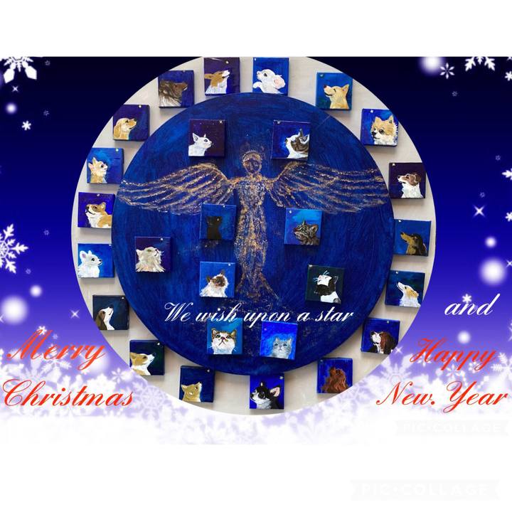 4c55897e 9788 4506 a753 e5237b194334 1671720190617