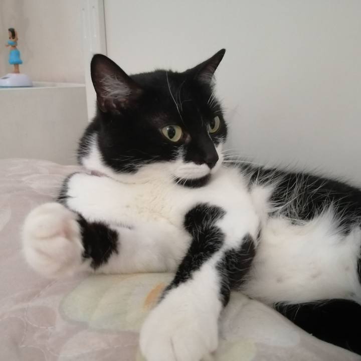 4c55afa9 71c2 41b3 b753 056bd5ca0919 1584888563022