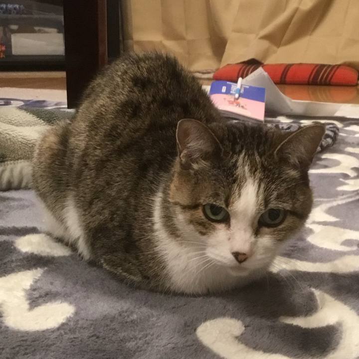 4c55b9ca 1913 4efa 9e66 3cff0ef2eb7c 1767740166472