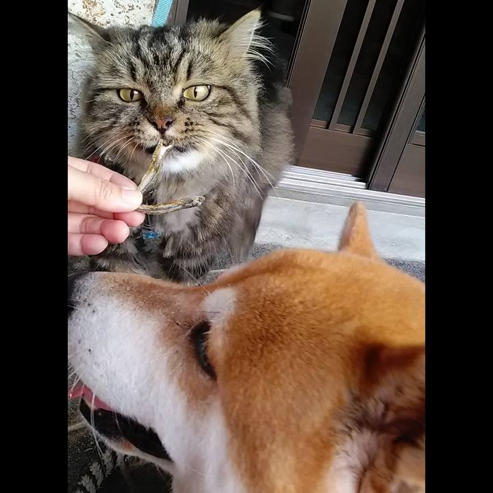 4c55bccf ed6f 4349 85dc 683f1c803be9 1626680066373