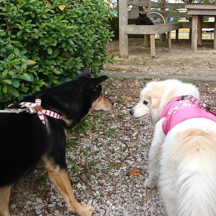 4c55e085 03c8 49ca 875d bb67daa5adb7 1541670275194