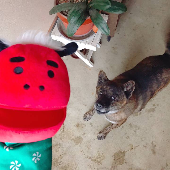 4c5651f2 b8fb 4ca1 a313 52553fdf03bd 1546313551158