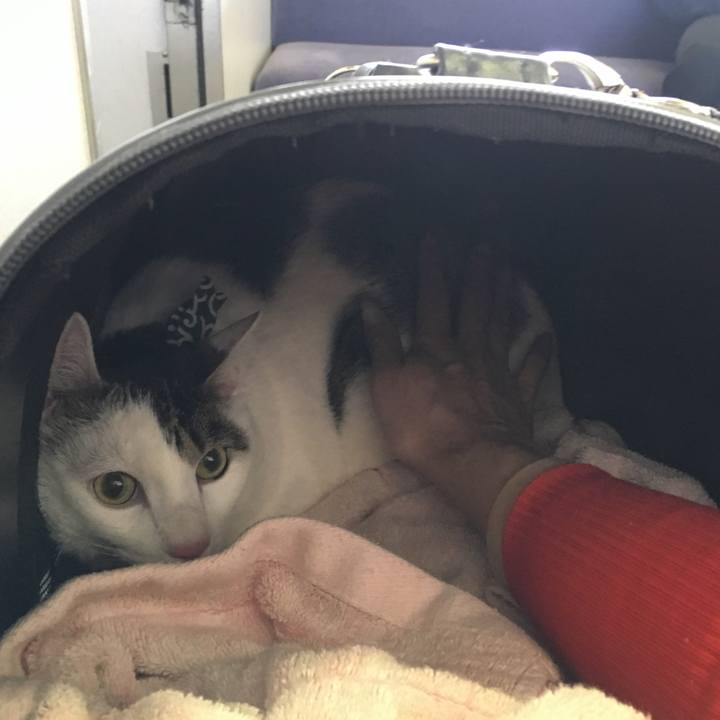 4c5684e9 4d00 49eb abb8 d328d23a88bb 1525335721369