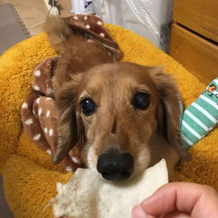 4c568ca5 6849 4c9b 83c0 4ed0ee4178ac 1609938294406