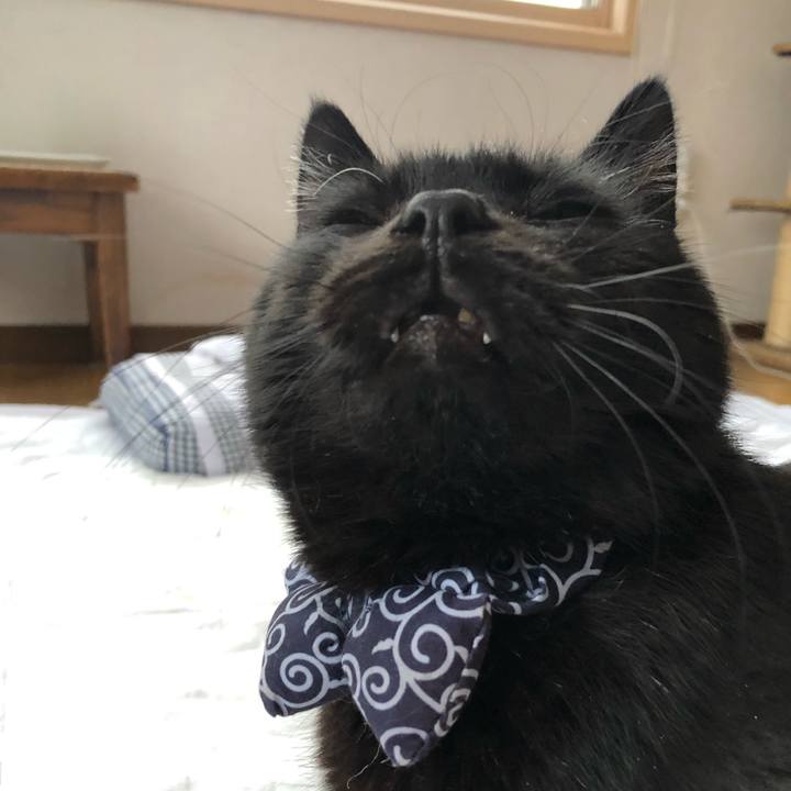 4c5698fc 89a0 4350 8723 30413486cca9 1578112923161