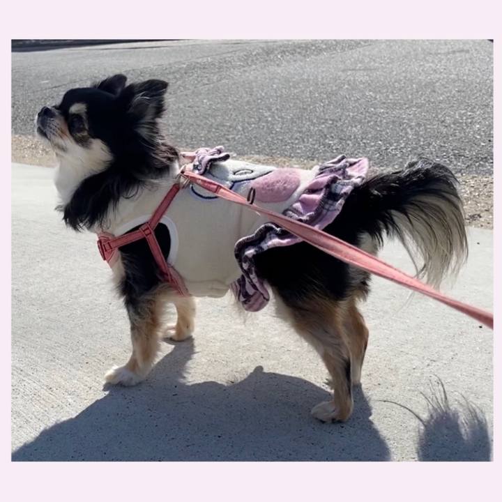 4c56bd07 5c2a 483a addd da6f97bf21a6 1645583644754