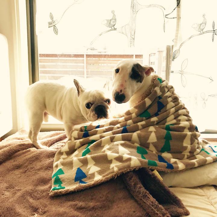 4c56d3d1 04af 49ff b6ed a2a0e12b4fab 1518998344206