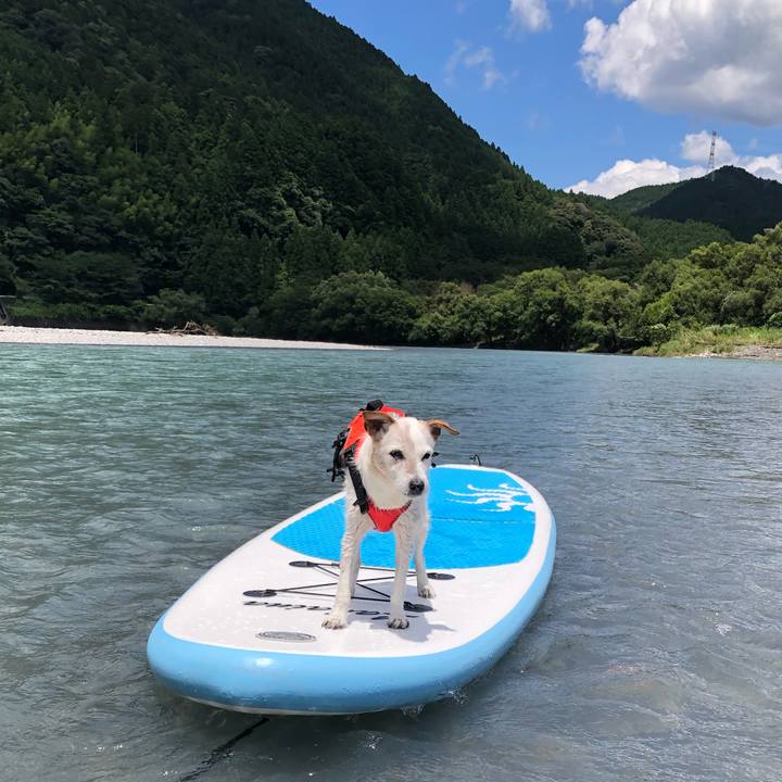 4c56dc59 3401 4e62 a7f3 0b121c149c8e 1626598506828