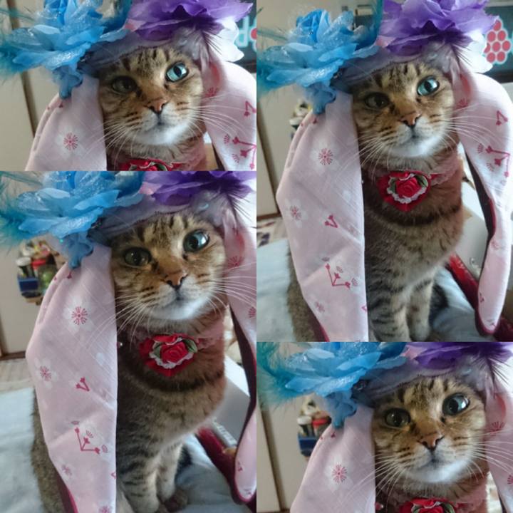 4c56e22f 7f61 412c a736 a3651a2eed46 1758321859371