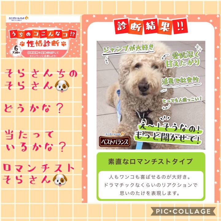 4c56eb8d 6d56 4daa a4e0 b0d29c1ca5ac 1542084739665