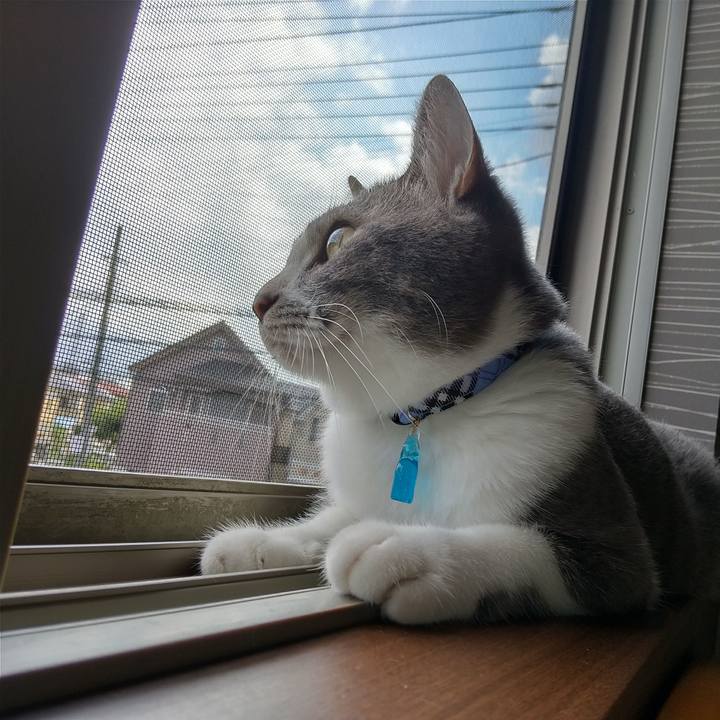 4c56ff8a 42c3 41e6 bd0a dd5e16273bbb 1598486174868