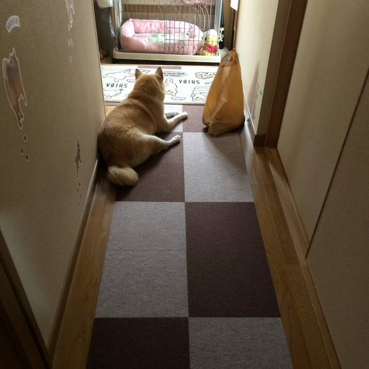 4c57161a a5d7 4784 941f e4931b79a46f 1594353425126