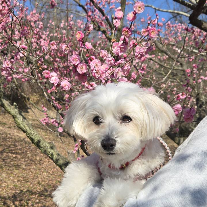 4c571739 7262 4dde 9ed8 97d9ff302d97 1771662632152