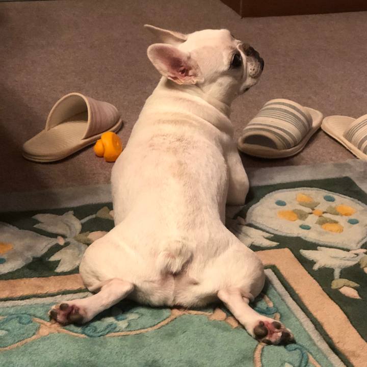 4c574175 e941 416c 8399 d77ab99fe67f 1661859016499