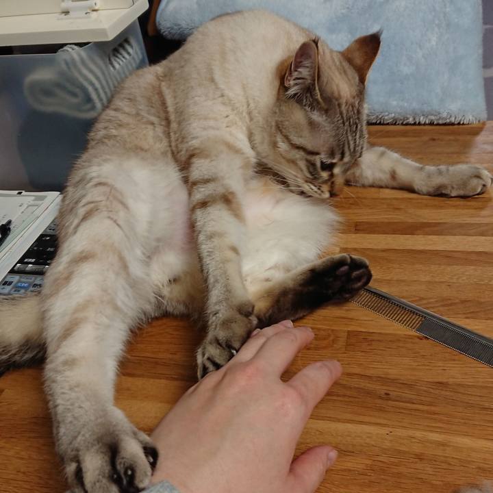 4c5765f5 0fb0 47f9 917e d1fc73eefdb7 1516617919242