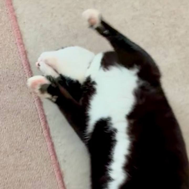 4c576b99 c011 42c5 b4be 80db32beb842 1746241111170