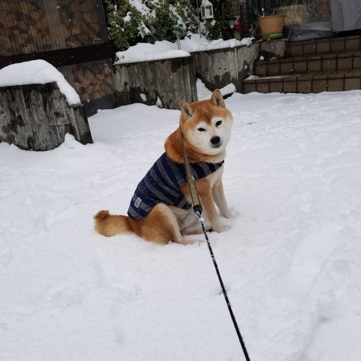 4c578180 aaec 4a64 80b0 9ae1bc78d7fa 1671870320425