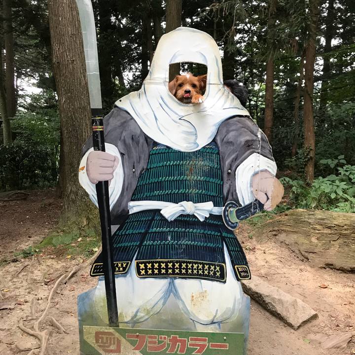 4c57b3dd 83be 460d 89c2 b6e5409cb263 1533429822321