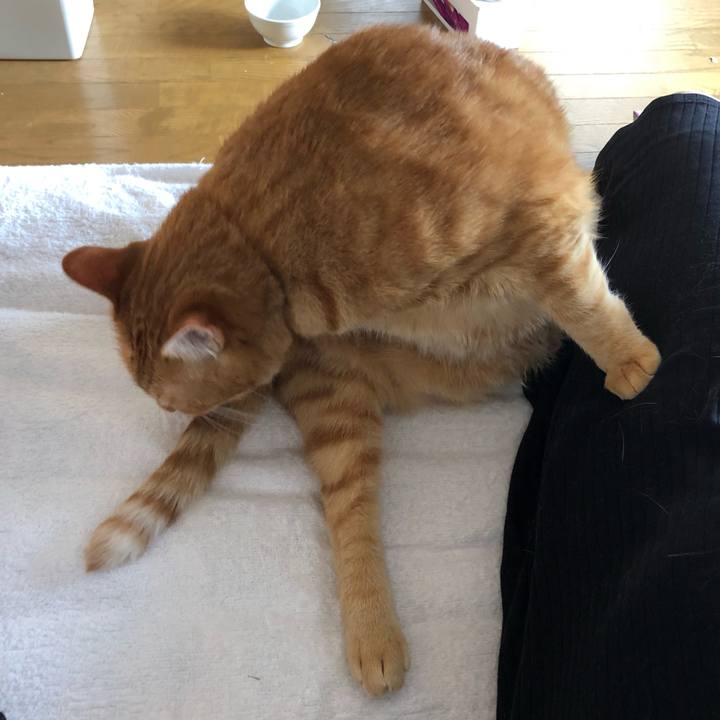 4c57c41d f83b 4139 ab2b b0c51a05806f 1587772010915