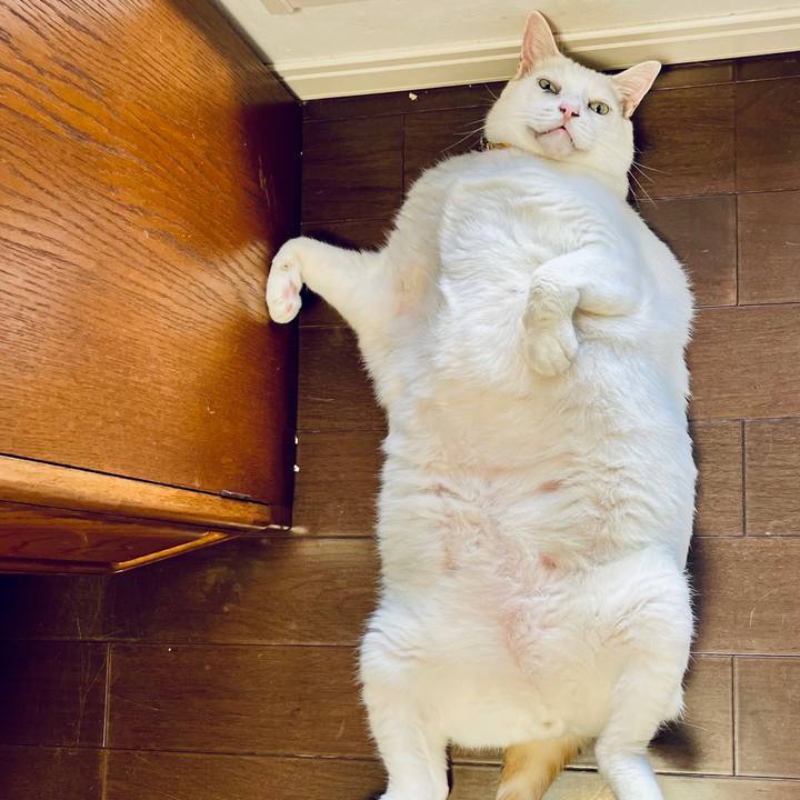 4c57c8d0 44df 410f a0b6 7a6931923f4a 1727153603386