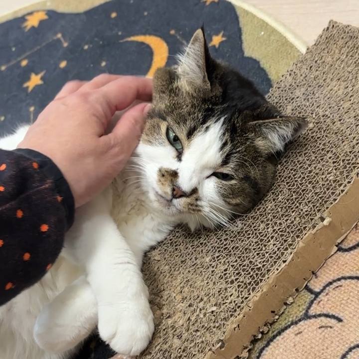 4c580cd9 bebe 47a2 9f77 7fc9f20d56e4 1765885686514