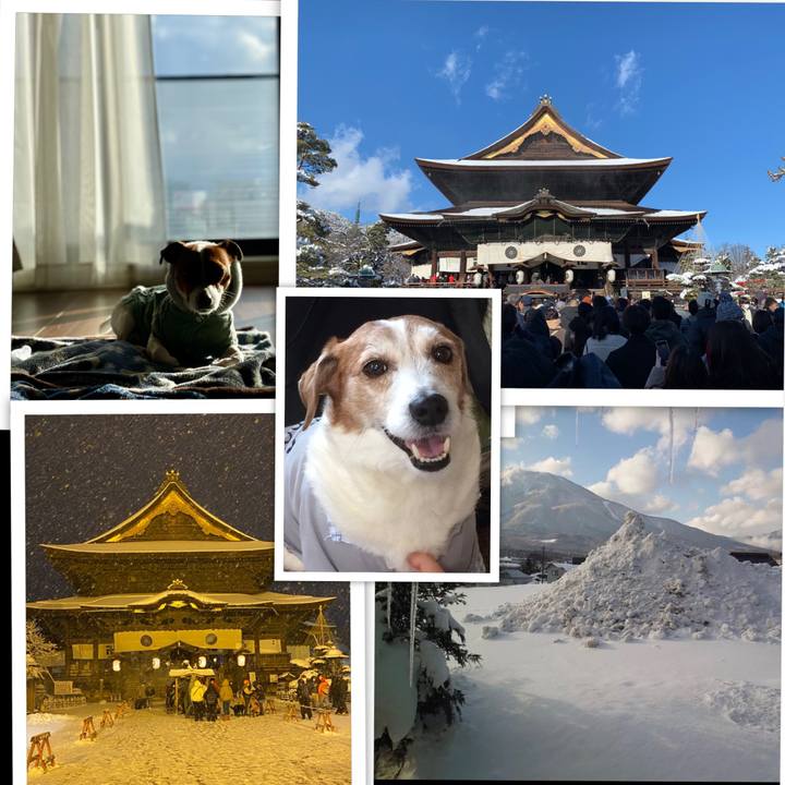 4c582cb3 cb47 4b1c b373 c6d496c4a92b 1641342914151