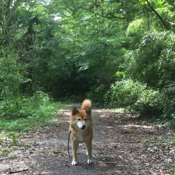 4c5836d0 65b2 4eae 95f7 c6ee86c340df 1560491676664