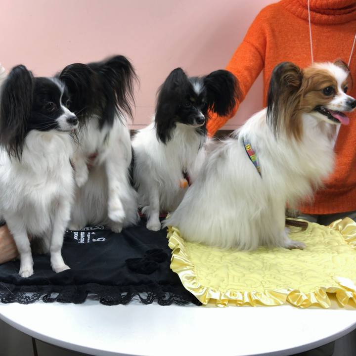 4c584619 2e32 4bb9 b6bc d31c0a7651a1 1517734221712