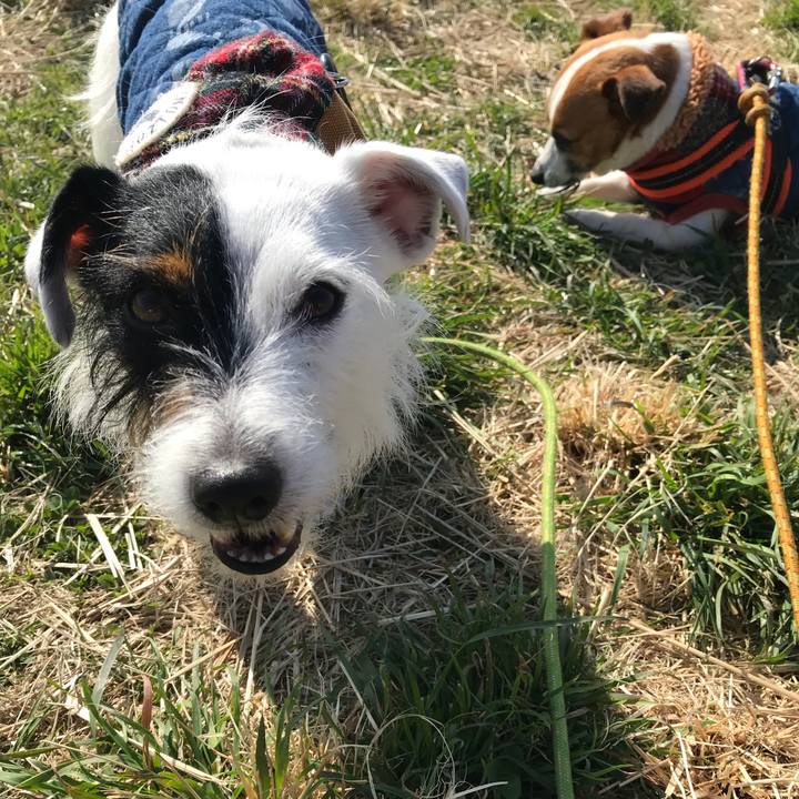 4c5866e1 378d 464e 81f8 eb32e46b7636 1520985621443