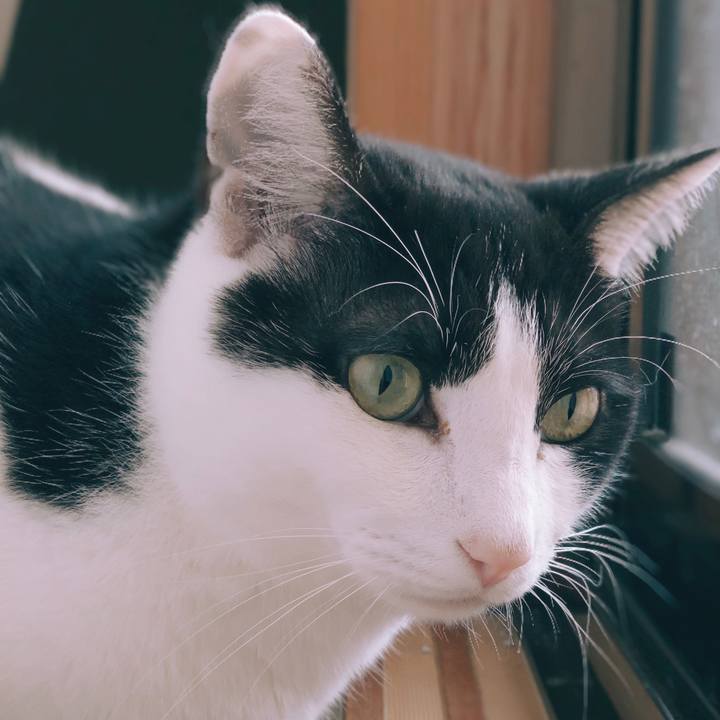 4c5888c9 b9e0 4aa8 bf88 2a7c9160b67f 1554774458064